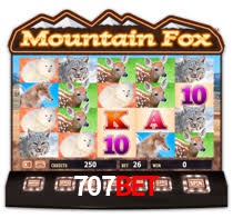 Daily Bonuses 707bet